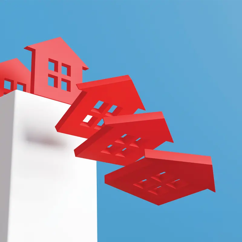 Debt Advisers and Loan Servicers Report